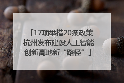 17项举措20条政策 杭州发布建设人工智能创新高地新“路径”