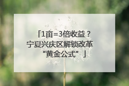 1亩=3倍收益？宁夏兴庆区解锁改革“黄金公式”