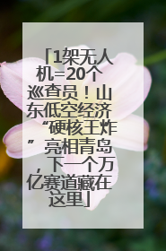 1架无人机=20个巡查员！山东低空经济“硬核王炸”亮相青岛，下一个万亿赛道藏在这里