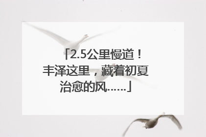 2.5公里慢道！丰泽这里，藏着初夏治愈的风……