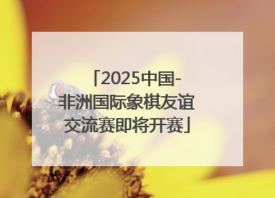 2025中国-非洲国际象棋友谊交流赛即将开赛