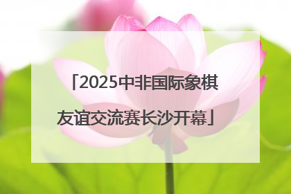 2025中非国际象棋友谊交流赛长沙开幕