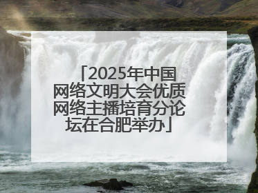 2025年中国网络文明大会优质网络主播培育分论坛在合肥举办