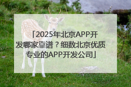 2025年北京APP开发哪家靠谱？细数北京优质专业的APP开发公司