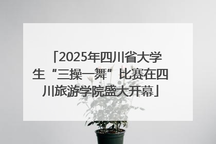 2025年四川省大学生“三操一舞”比赛在四川旅游学院盛大开幕