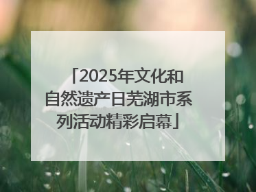 2025年文化和自然遗产日芜湖市系列活动精彩启幕