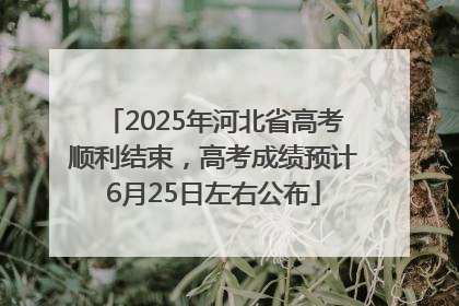2025年河北省高考顺利结束，高考成绩预计6月25日左右公布