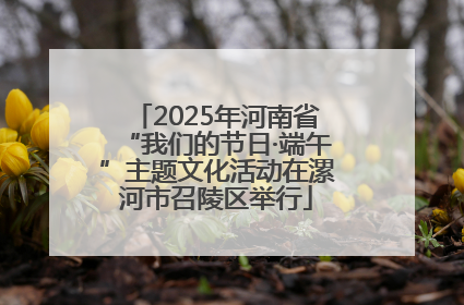 2025年河南省“我们的节日·端午”主题文化活动在漯河市召陵区举行