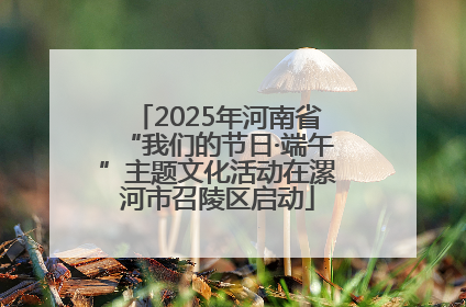 2025年河南省“我们的节日·端午”主题文化活动在漯河市召陵区启动