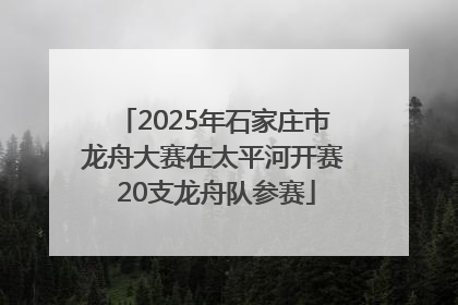 2025年石家庄市龙舟大赛在太平河开赛 20支龙舟队参赛