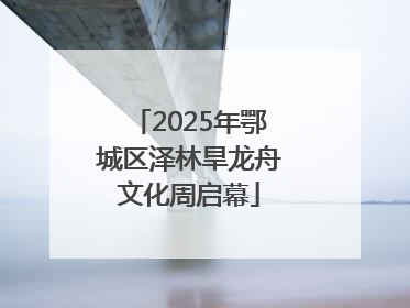 2025年鄂城区泽林旱龙舟文化周启幕