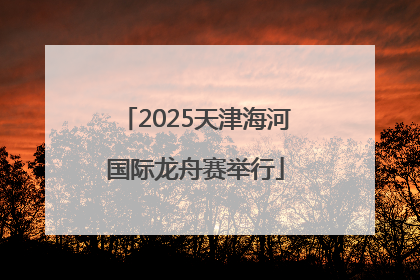 2025天津海河国际龙舟赛举行