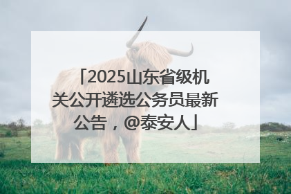 2025山东省级机关公开遴选公务员最新公告，@泰安人