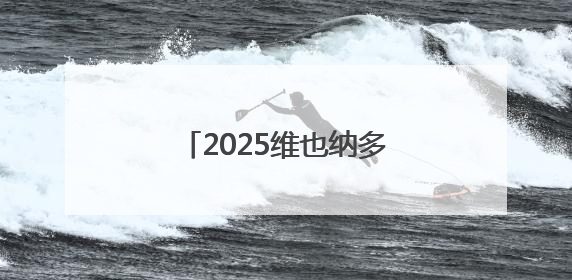2025维也纳多瑙河龙舟赛举行
