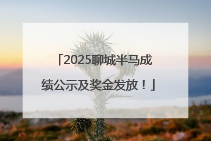 2025聊城半马成绩公示及奖金发放！