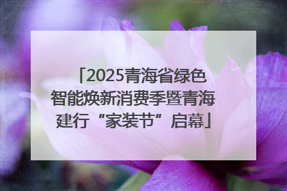 2025青海省绿色智能焕新消费季暨青海建行“家装节”启幕
