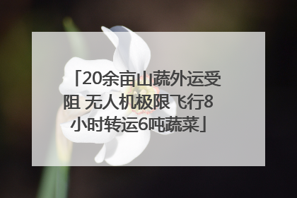 20余亩山蔬外运受阻 无人机极限飞行8小时转运6吨蔬菜