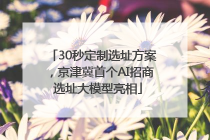 30秒定制选址方案，京津冀首个AI招商选址大模型亮相
