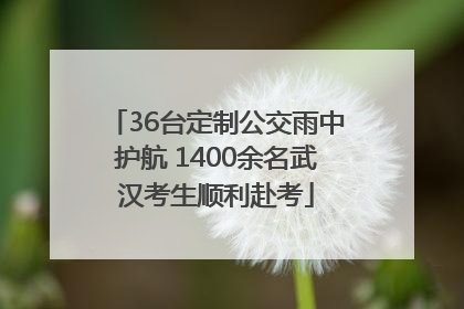 36台定制公交雨中护航 1400余名武汉考生顺利赴考