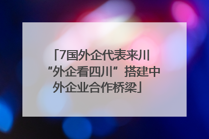 7国外企代表来川 “外企看四川”搭建中外企业合作桥梁