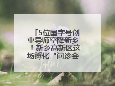 5位国字号创业导师空降新乡！新乡高新区这场孵化“问诊会”干货满满