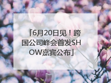 6月20日见！跨国公司峰会首发SHOW嘉宾公布