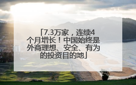 7.3万家，连续4个月增长！中国始终是外商理想、安全、有为的投资目的地