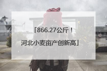 866.27公斤！河北小麦亩产创新高