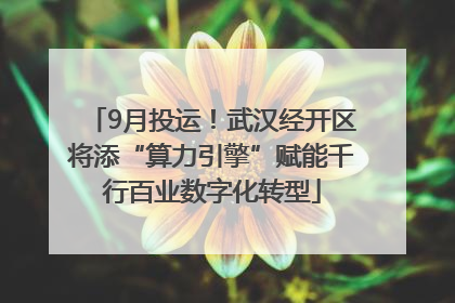 9月投运！武汉经开区将添“算力引擎”赋能千行百业数字化转型