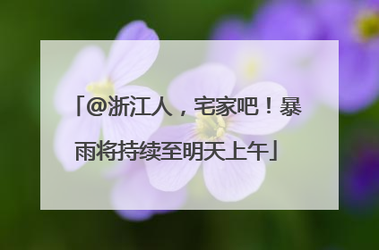 @浙江人，宅家吧！暴雨将持续至明天上午