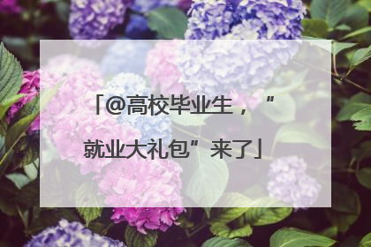 @高校毕业生，“就业大礼包”来了