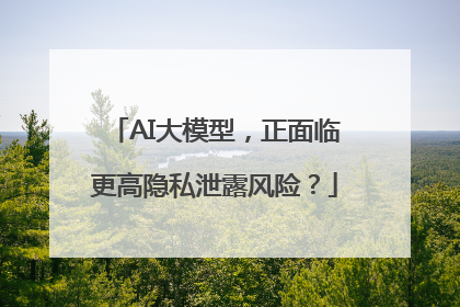 AI大模型，正面临更高隐私泄露风险？