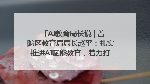AI教育局长说 | 普陀区教育局局长赵平：扎实推进AI赋能教育，着力打造“适合教育”新体系