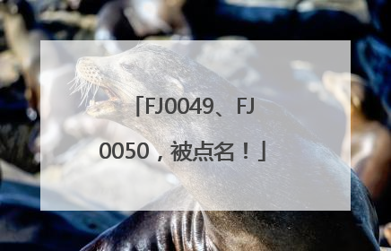 FJ0049、FJ0050，被点名！