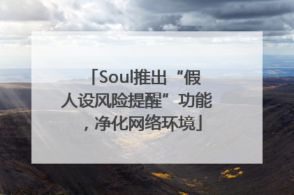 Soul推出“假人设风险提醒”功能，净化网络环境