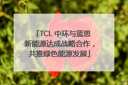 TCL 中环与蓝思新能源达成战略合作，共推绿色能源发展